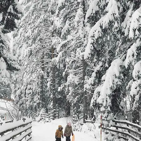 Villa Nisici Vila Nature Sarajevo